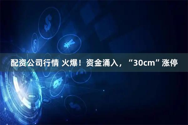 配资公司行情 火爆！资金涌入，“30cm”涨停